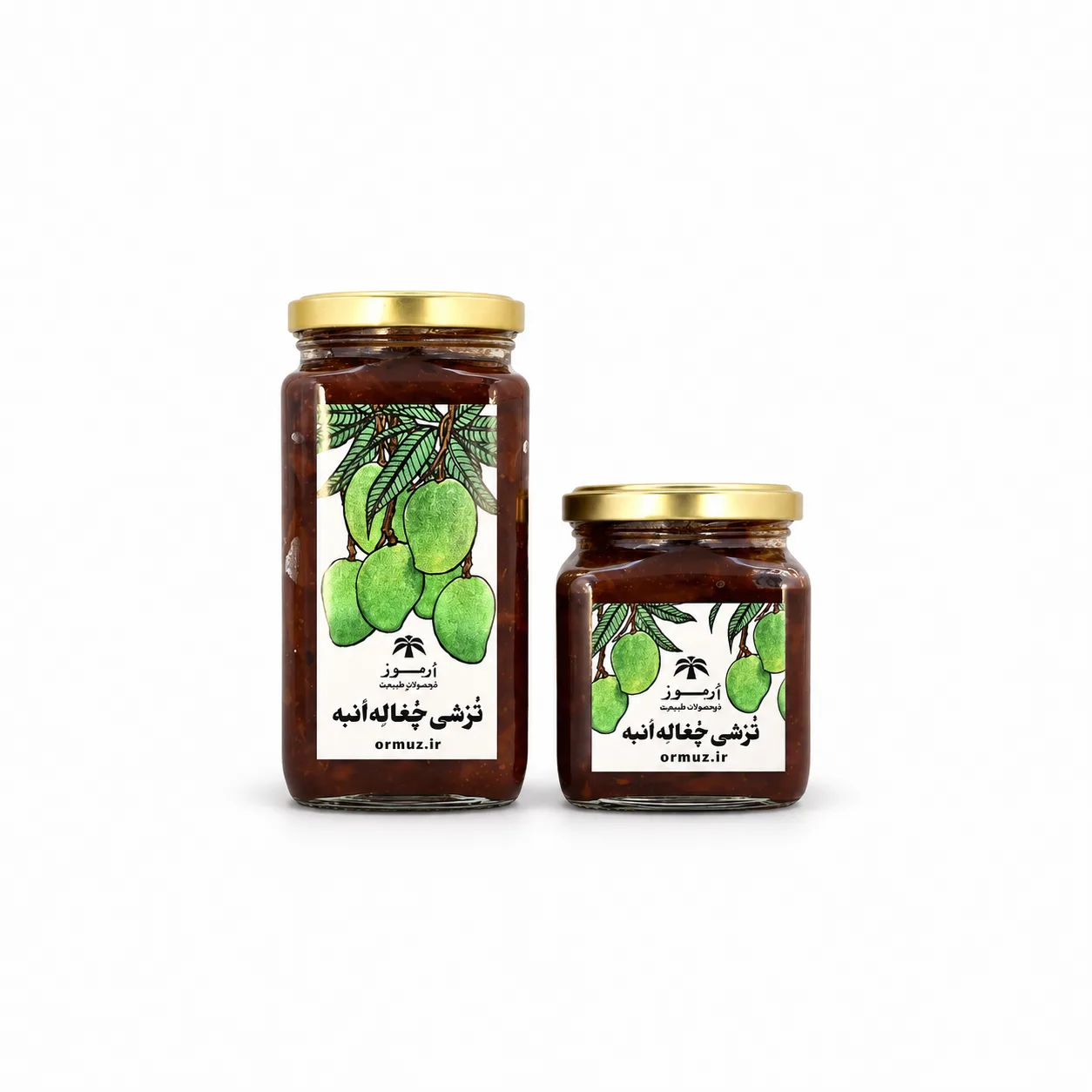 Mango sludge pickle