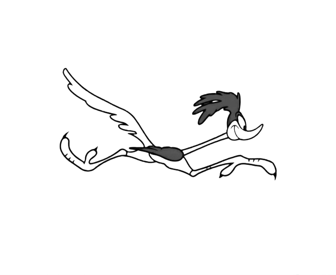 ROUDRUNNER
