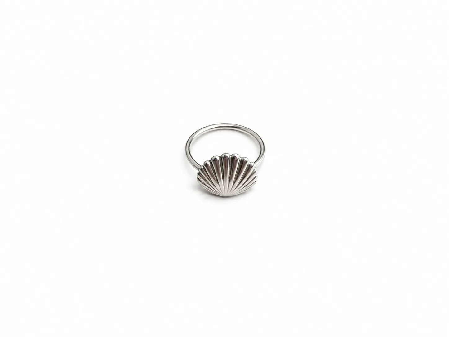 Conch shell