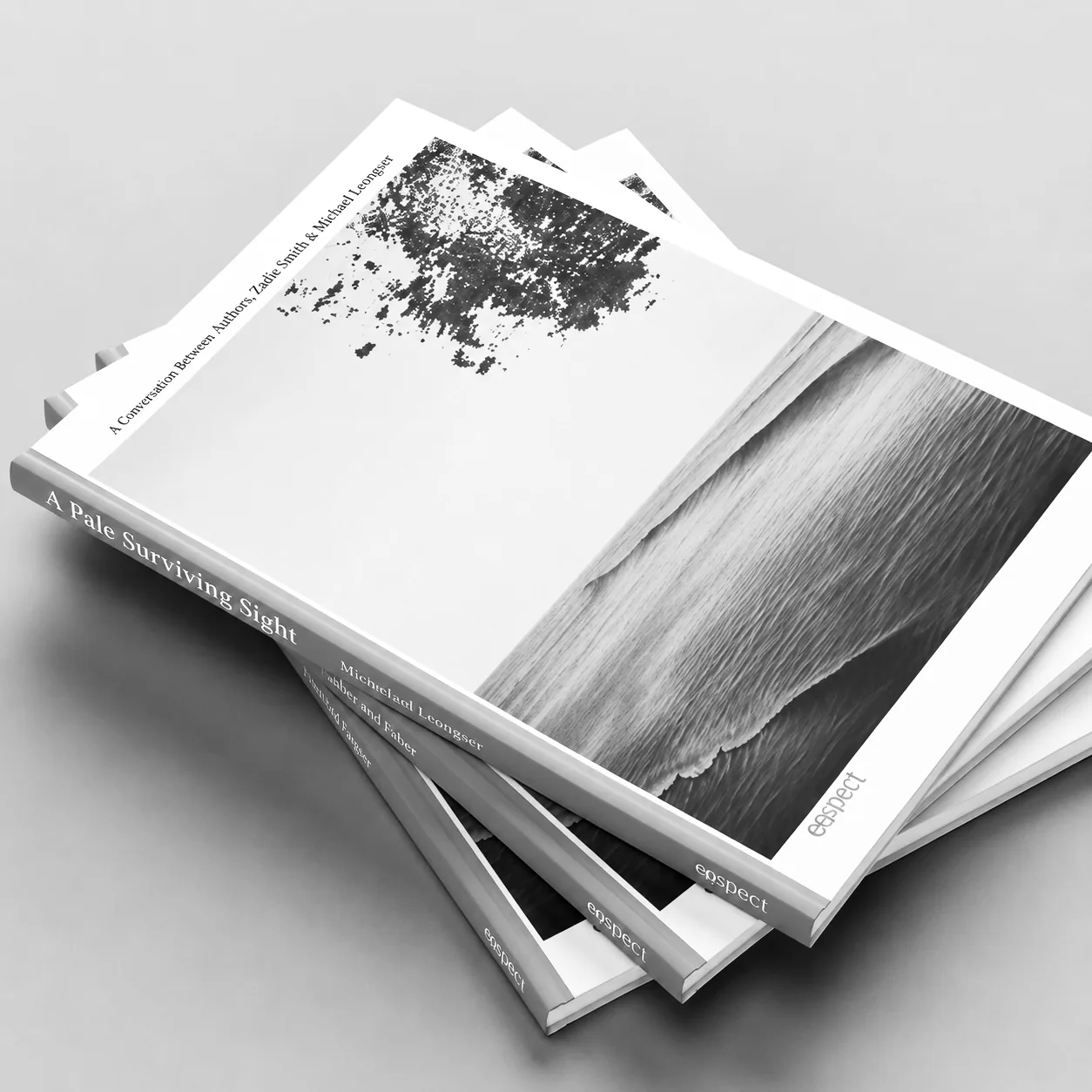 کتاب منظر رو رفته‌ی باقی
