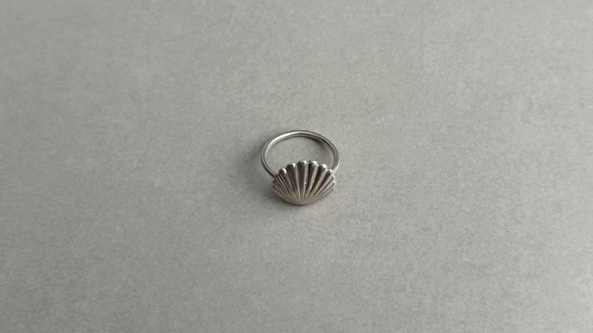 Conch shell thumbnail 2